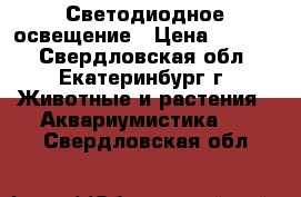 Светодиодное освещение › Цена ­ 1 000 - Свердловская обл., Екатеринбург г. Животные и растения » Аквариумистика   . Свердловская обл.
